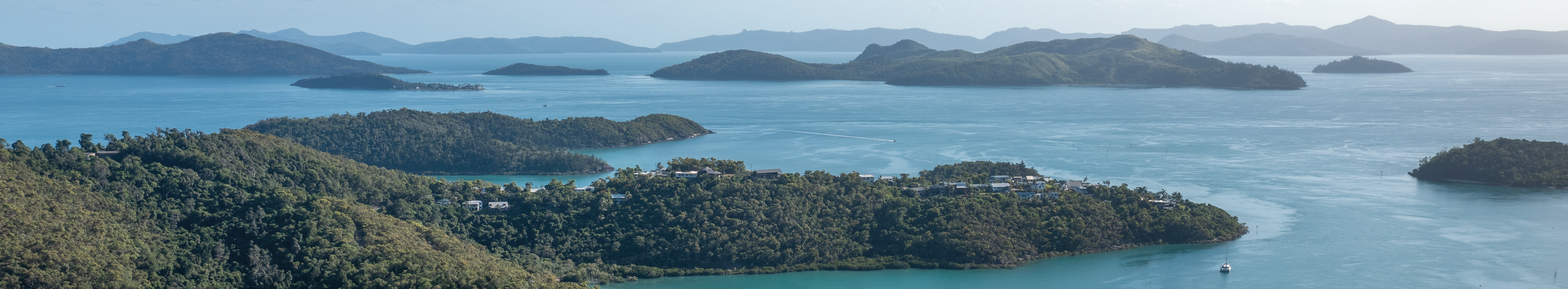 Shute Harbour - View