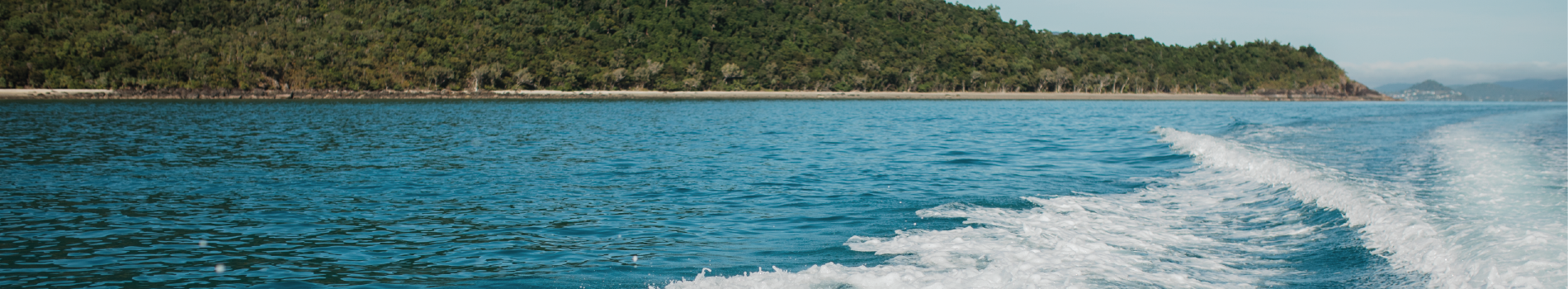 Ferry